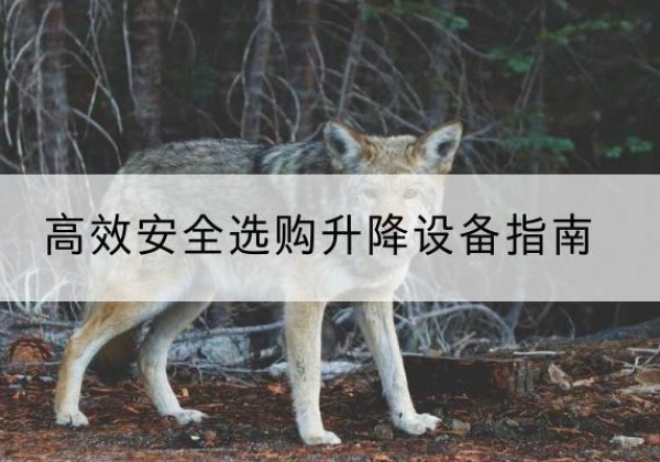 濂溪升降货梯厂家推荐-*安全选购升降设备指南