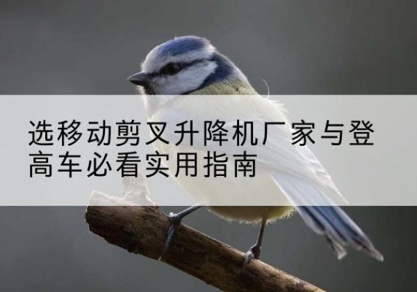 濂溪电动升降机厂家-选移动剪叉升降机厂家与登高车必看实用指南