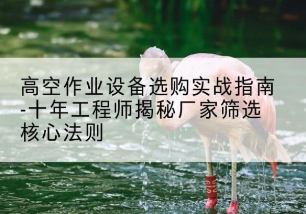 濂溪剪叉式升降机厂家-高空作业设备选购实战指南-十年工程师揭秘厂家筛选核心法则
